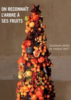 Noël au cœur de ses racines - Sapin
